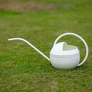 Regadera de acero inoxidable con forma de bola blanca brillante, regadera de jardín redondeada con mango cómodo, lata de Metal con acabado - Product Image 5