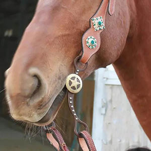 Venta caliente ecuestre equino Bits Horse Snaffle Factory Custom Bit Para Caballo Equipo al por mayor Horse Bits - Product Image 3