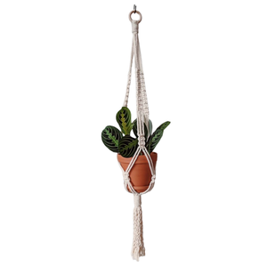 Nouveautés : Jardinières suspendues en macramé, écologiques, en métal, personnalisables, pour la décoration intérieure et les jardins. - Product Image 1