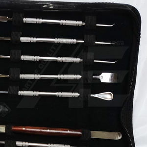 La Elahi Co Factory, venta al por mayor, 10 Uds., juego de escaladores de acero inoxidable quirúrgico para laboratorio Dental, Kit de herramientas de tallado de cera eléctrica Manual - Product Image 6