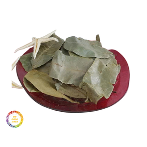 Hojas de Guanábana Secas Enteras, Hojas de Graviola Verdes de Calidad, Hojas de Guanábana Secas Puras, Cosecha Sostenible - Product Image 6