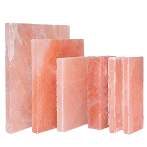 Briques de sel de l'Himalaya très résistantes 8x8x2 pouces pour murs de sel structurels - Product Image 4