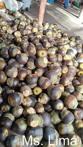 Sucre de palme du Vietnam sous forme de tablette-100% pur, sans additifs, idéal pour le thé, le café et la cuisine/Mme Lima - Product Image 3