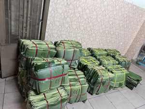 <b>Fresh</b> Natural <b>Banana</b> Leaves for Food Wrapping Packaging Restaurant Bulk Supply - Product Image 5