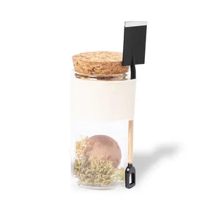 Set Regalo Ecologici Winsu Seed Bombom, Gadget Innovativi per l'Ecosistema - Product Image 2