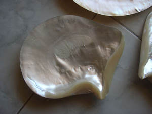 Assiette en nacre, motif coquillage, bijoux en coquillage, assiette blanche, grande taille 17 cm - Product Image 2