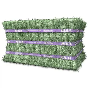 Cheap Top Quality Alfalfa Hay for Animal Feeding Stuff Alfalfa, hay/Timothy hay