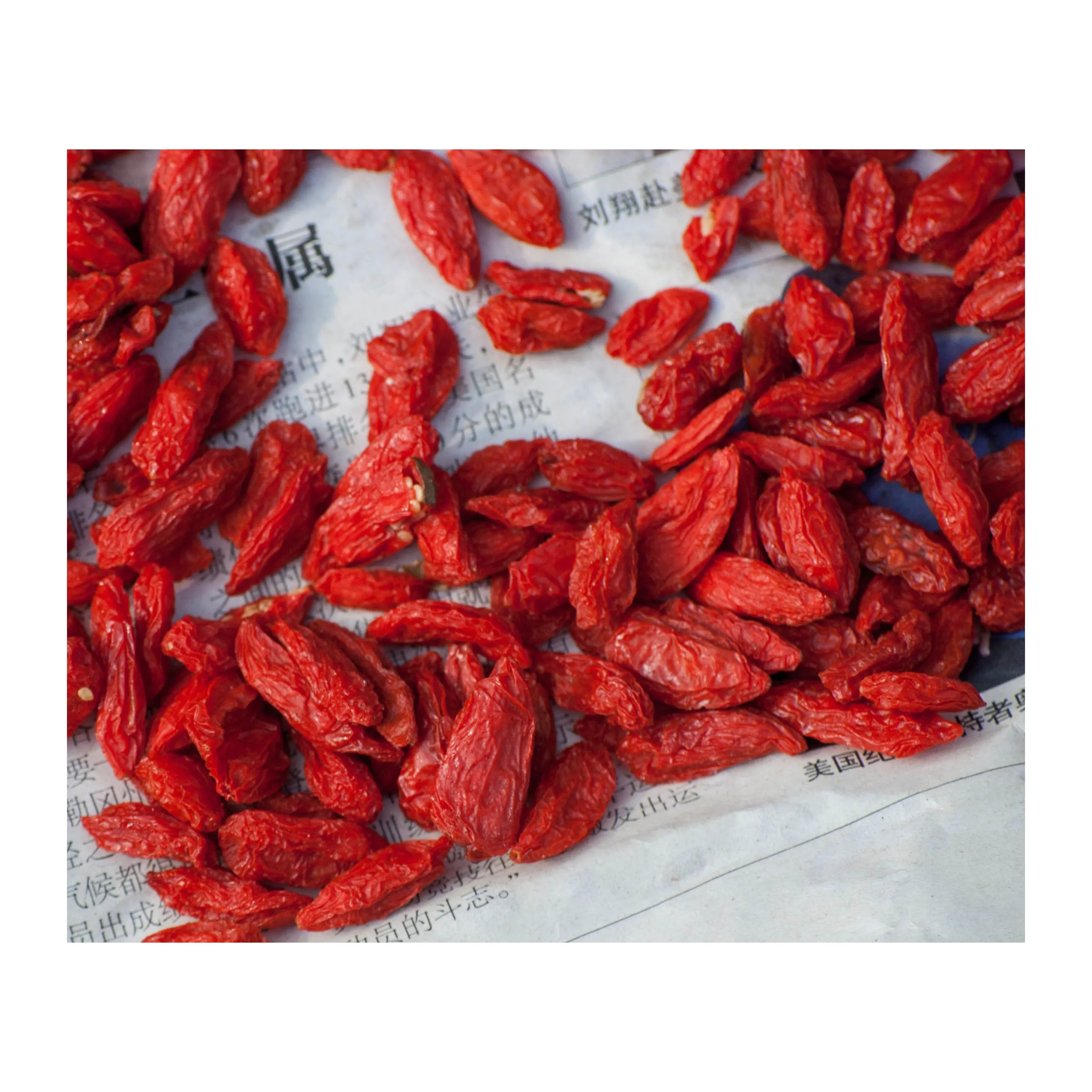 Großhandel New Dried Goji Berry Bayas De Goji