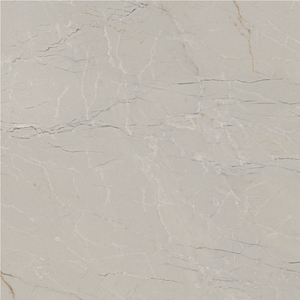 Obtenez des designs innovants et une résistance maximale avec des carreaux en porcelaine de 600x600 mm en provenance d'Inde, design moderne, bel aspect, carreaux de qualité supérieure. - Product Image 2