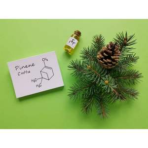 Aceite Esencial de Beta-Pineno - Product Image 2