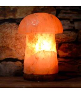 Anwar Enterprises Decorative Mushroom-Shaped Himalayan Salt Lamp Polished and Carved with Floral Catcher Styles - Product Image 1
