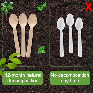 Cuillères jetables en bois biodégradables modernes et écologiques |   Couverts en bois de bouleau naturel pour les fêtes et les événements Fabriqués au Bangladesh - Product Image 3