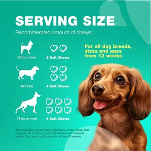 Suplemento Probiótico <span class=keywords><strong>para</strong></span> Mascotas OEM/ODM <span class=keywords><strong>para</strong></span> <span class=keywords><strong>Perros</strong></span> y Gatos, Refuerza el Sistema Inmunitario, Promueve la Salud Intestinal, Masticables Blandos con Vitaminas y Minerales - Product Image 6