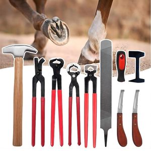 Ensemble d'outils professionnels en acier inoxydable pour le soin des sabots de cheval, pince à clincher, râpe, marteau, couteau, tampon pour utilisation en clinique vétérinaire - Product Image 2
