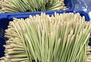 Su proveedor global: limoncillo Premium fresco y congelado de Vietnam - Product Image 4