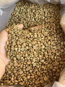 Granos de Café Arábica Tostados Baratos, Grado A, Maduración Superior, 1% de Humedad, Bolsa de 10 kg en Venta - Product Image 6