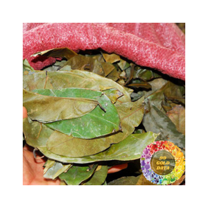 Matière première naturelle de tisane de forme déchiquetée séchée de feuille de corossol pour l'emballage au détail OEM - Product Image 6