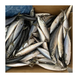 Venta al por mayor de caballa del Pacífico congelada, suministro a granel de pescado congelado de alta calidad para el comercio internacional - Product Image 2