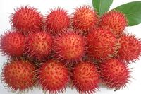 Hoge Kwaliteit Verse Rambutan Java, Natuurlijke Zoete Van Vietnam Met Zeer Goedkope Prijs