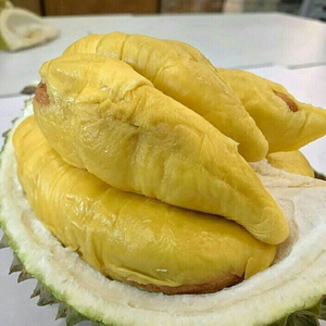 Durian congelado de calidad de exportación de Vietnam con precio barato/Sra. Jessi - Product Image 2