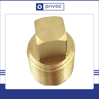 Raccord de tuyauterie en laiton, bouchon à filetage mâle 1/2'' BSP/NPT, tête carrée avec pression de 1,6 MPa, certifié ISO 9001
