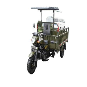 Triciclo eléctrico del nuevo modelo para el vehículo eléctrico de 3 ruedas del cargo con el poder del motor 1000 - Product Image 5