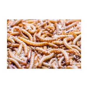 Dried Mealworms Fish Use Meal <b>Worms</b> Animal Feed - Product Image 2
