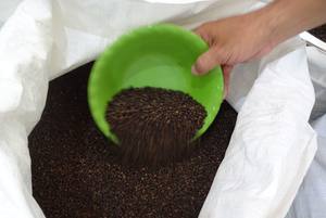 Pimienta negra de Vietnam más vendida, especias fuertes de alta calidad, precio de procesamiento crudo seco - Product Image 5