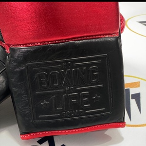 Gants de boxe professionnels Muay Thai MMA, toutes les couleurs disponibles, sans boîte, sans rouge ni noir, à lacets, ajustables. - Product Image 5