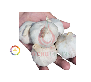 Ail noir séché Ly Son de haute qualité pour l'exportation à bas prix de Quang Ngai Vietnam - Product Image 4