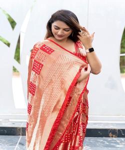 Magnifique saree de mariage pour filles avec un beau tissu organza et une broderie de mariée exclusive pour les occasions spéciales - Product Image 2