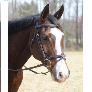 Brida de caballo ecuestre occidental de alta calidad Material de PVC impermeable de cuero Real logotipo personalizado precio al por mayor - Product Image 3