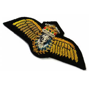 Insignes d'aile les plus vendus sur mesure en stock insignes d'aile les plus populaires insignes d'aile - Product Image 4