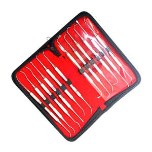 Juego de instrumentos de relleno Dental de alta calidad, 12 Uds., Kit de herramientas de Odontología de acero inoxidable, juego dental, instrumentos quirúrgicos - Product Image 4