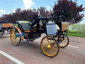 Kereta wisata elektrik <span class=keywords><strong>2</strong></span> baris mewah/harga rendah kereta dorong listrik tanpa kuda pemandangan gharry - Product Image 6