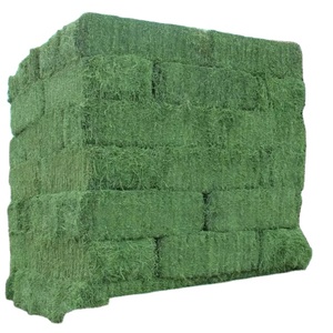 Harina de Pescado de Primera Calidad, Alimento para Animales a Granel para Caballos, Ganado, Cerdos, Peces y Perros - Grado A - Product Image 1