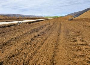 Turba de musgo sphagnum suelo พรีเมี่ยมธรรมชาติ Para lechos de animales paisajismo โฆษณาชวนเชื่อ - Product Image 2