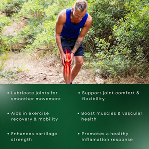 Cápsulas de Insaponificables de Aguacate y Soja de Alta Calidad, Marca Privada, para el Apoyo de las Articulaciones, Movilidad, Flexibilidad y Salud del Cartílago - Product Image 6