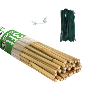 Bâtonnets de bambou les plus vendus 2025 pour plantes / Bâtonnets de bambou de grande taille de haute qualité et à bon prix de Eco2go Vietnam - Product Image 1