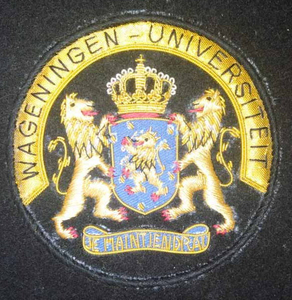 Aile conçue sur mesure de haute qualité rangs patchs uniformes tactiques tissu brodé à la main paillettes magnétiques caractéristiques à coudre - Product Image 2