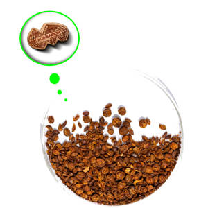 Argousier séché | Fruit à haute efficacité pour les formulations en capsules - Product Image 3