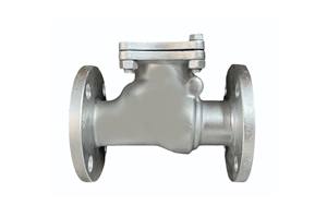 Válvula de Retención de Acero al Carbono Tipo C de 2 Pulgadas con Extremo Bridado, Cubierta Atornillada, Sellado de PTFE, Personalizable para la Industria del Petróleo y Gas - Product Image 3