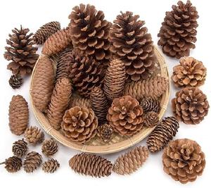 <b>Pinecone</b> Natural in Wholesales Price <b>Pinecone</b> Christmas Decoration for Room and Party Decoration - Product Image 1