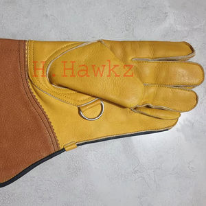 Gant court de fauconnerie personnalisé Gant double couche - Product Image 1