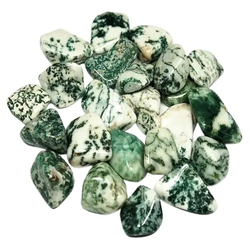 Batu Tumbled batu akik pohon kualitas Premium untuk dekorasi dan properti penyembuhan tersedia dengan harga grosir