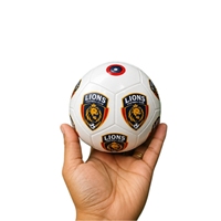Ballon de football promotionnel de haute qualité, fabrication OEM/ODM, durable, résistant à l'eau, en PVC/PU écologique, avec chambre à air en latex haute performance