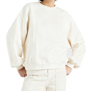 Sweat-shirts unisexes surdimensionnés pour femmes, personnalisés avec logo frontal, en tissu épais, taille plus, sweat-shirt vierge - Product Image 1