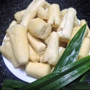Racine de manioc fraîche pelée et congelée en morceaux propres du Vietnam pour les marchés d'exportation Usines alimentaires et restaurants - Product Image 1
