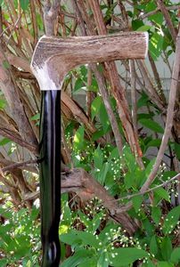 Mango de conjunción Cuerno de búfalo Tamaño personalizado Mango de palo de cuerno de búfalo natural Mango de palo de vaca de color natural de la mejor calidad - Product Image 4