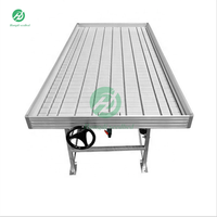 Banc roulant hydroponique grand format avec plateau de culture ABS, système de culture mobile à flux et reflux pour serre